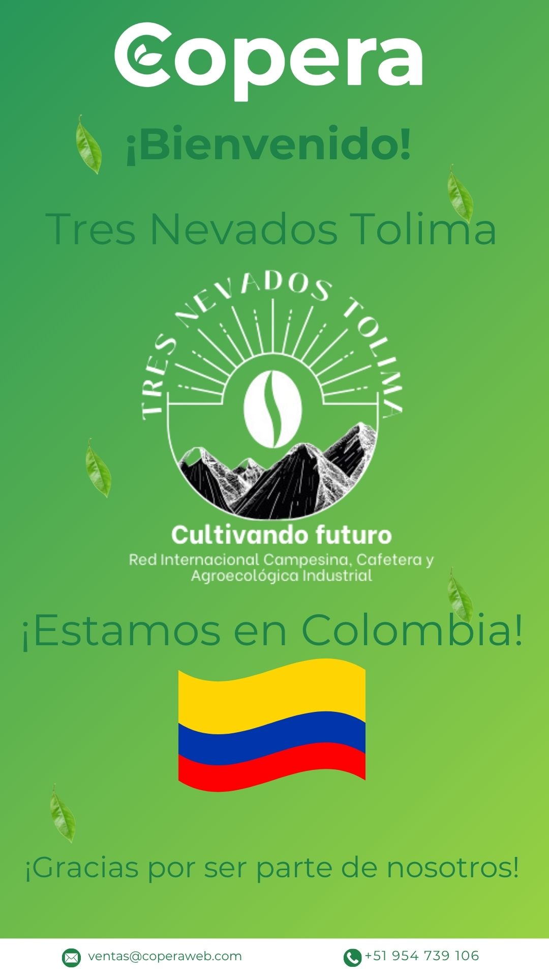 Cliente Ecuador